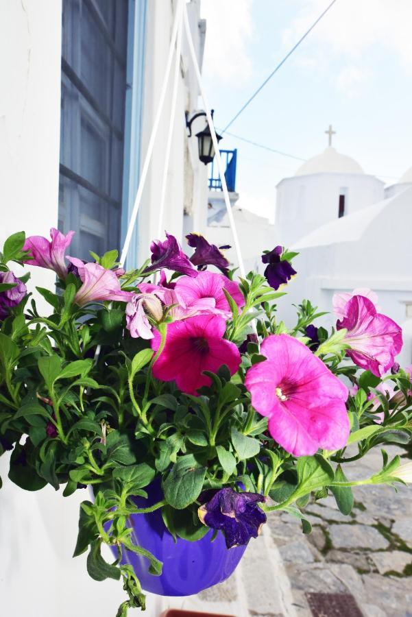 Thomas Traditional House In Chora Amorgos Exterior foto